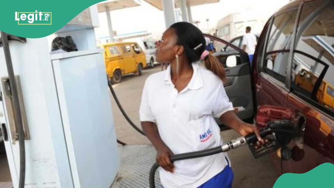 Dangote's Influence On NNPC Petrol Prices: A THISDAYLIVE Analysis Dangote's Influence On NNPC Petrol Prices: A THISDAYLIVE Analysis