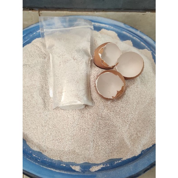 Daur Ulang Cangkang Telur: Pupuk Alami Dan Pakan Hewan Berkualitas Daur Ulang Cangkang Telur: Pupuk Alami Dan Pakan Hewan Berkualitas