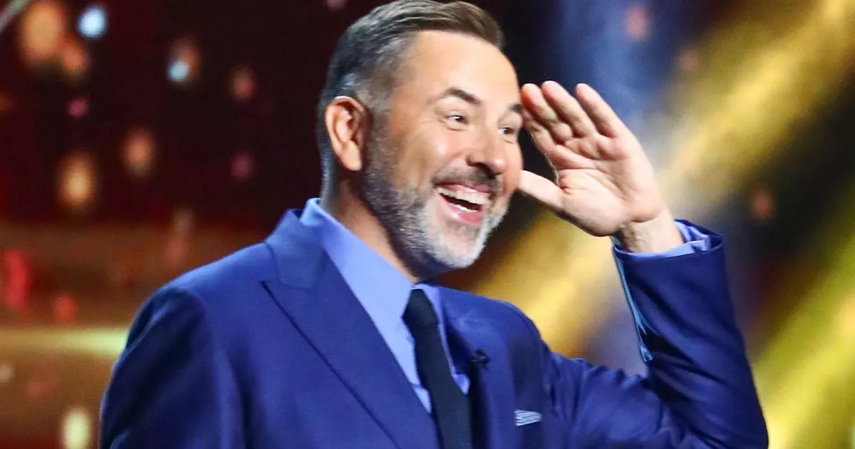 David Walliams Leaves Britain's Got Talent: The Reason Behind His Exit David Walliams Leaves Britain's Got Talent: The Reason Behind His Exit