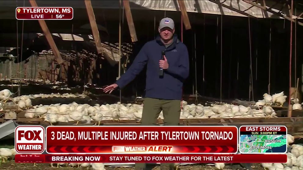 Deadly Tornado: CNN Correspondent Witnesses The Aftermath Deadly Tornado: CNN Correspondent Witnesses The Aftermath