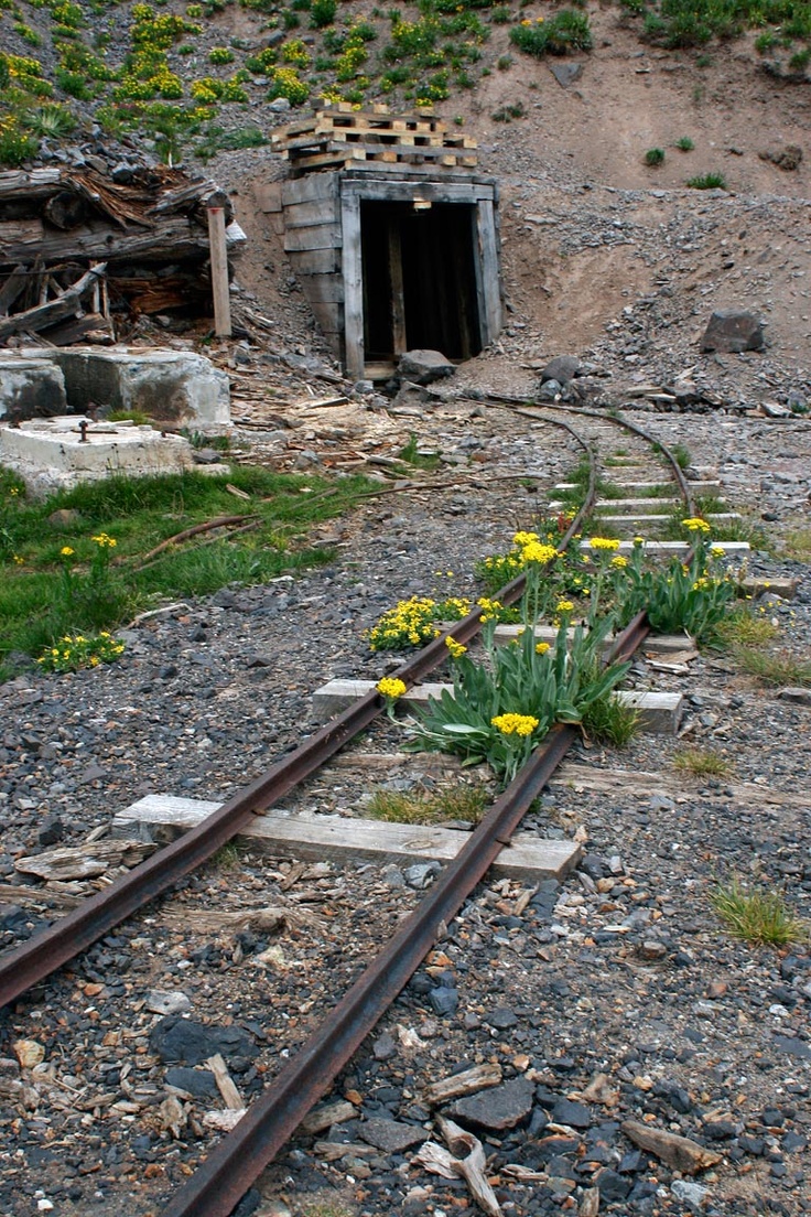 Deep In Abandoned Gold Mines: A Toxic Legacy Deep In Abandoned Gold Mines: A Toxic Legacy