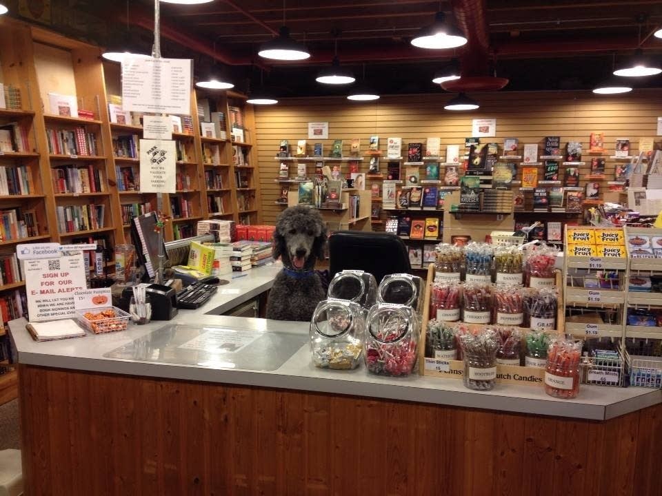 Discover April's Highlights: Indie Bookstore Day, King's Day & Tumbleweeds Film Fest Discover April's Highlights: Indie Bookstore Day, King's Day & Tumbleweeds Film Fest