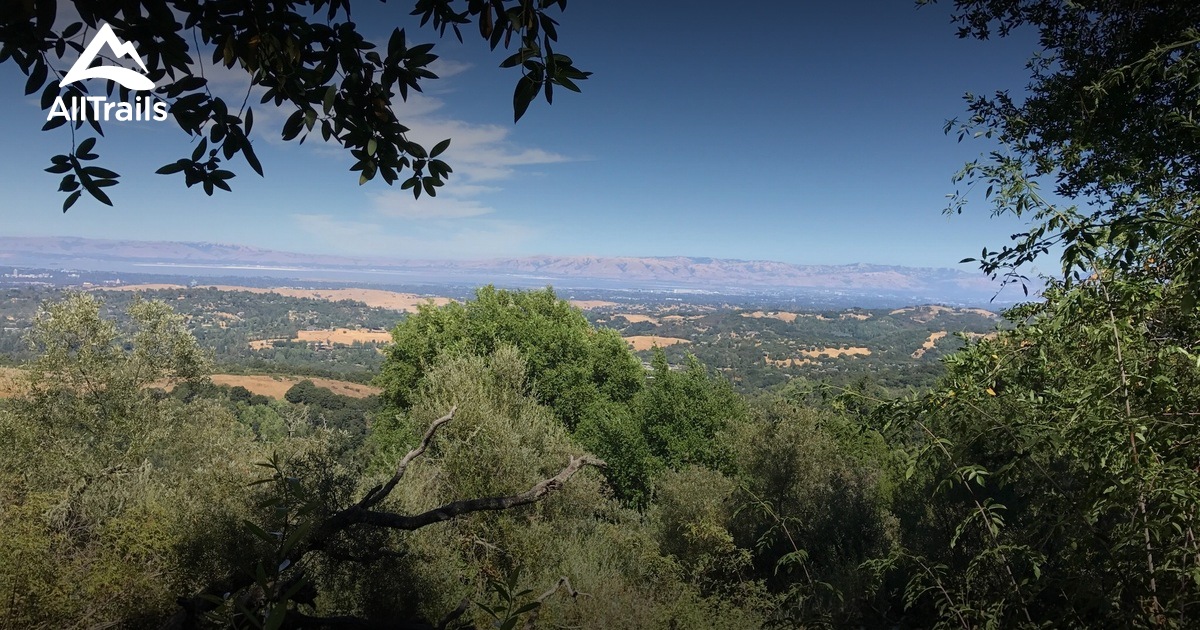 Discover Portola Valley's New Greek Taverna Discover Portola Valley's New Greek Taverna