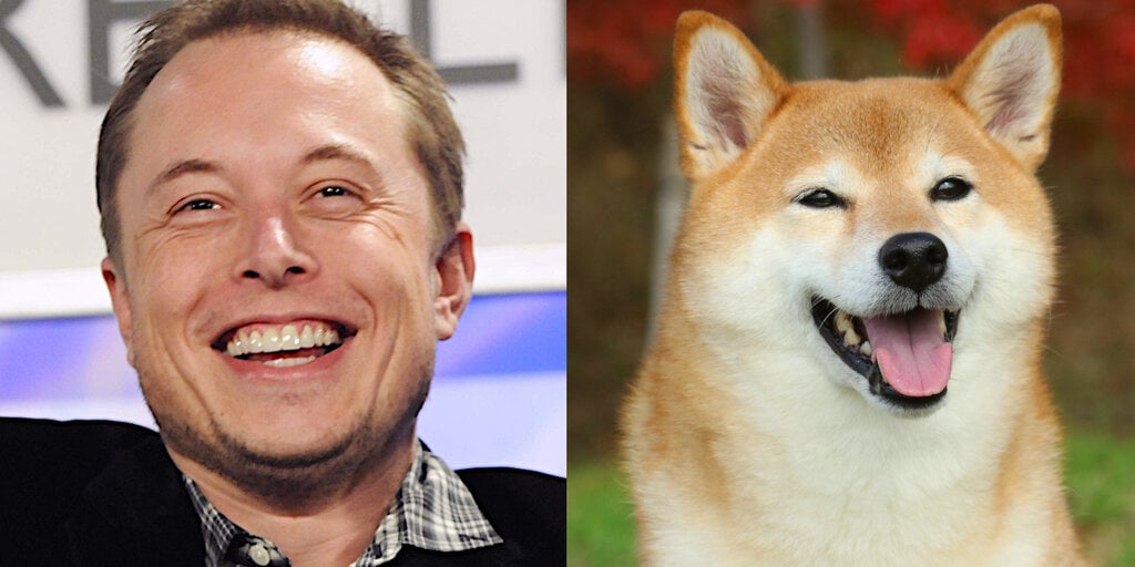 Dogecoin Price And Elon Musk's Influence: What's Next? Dogecoin Price And Elon Musk's Influence: What's Next?