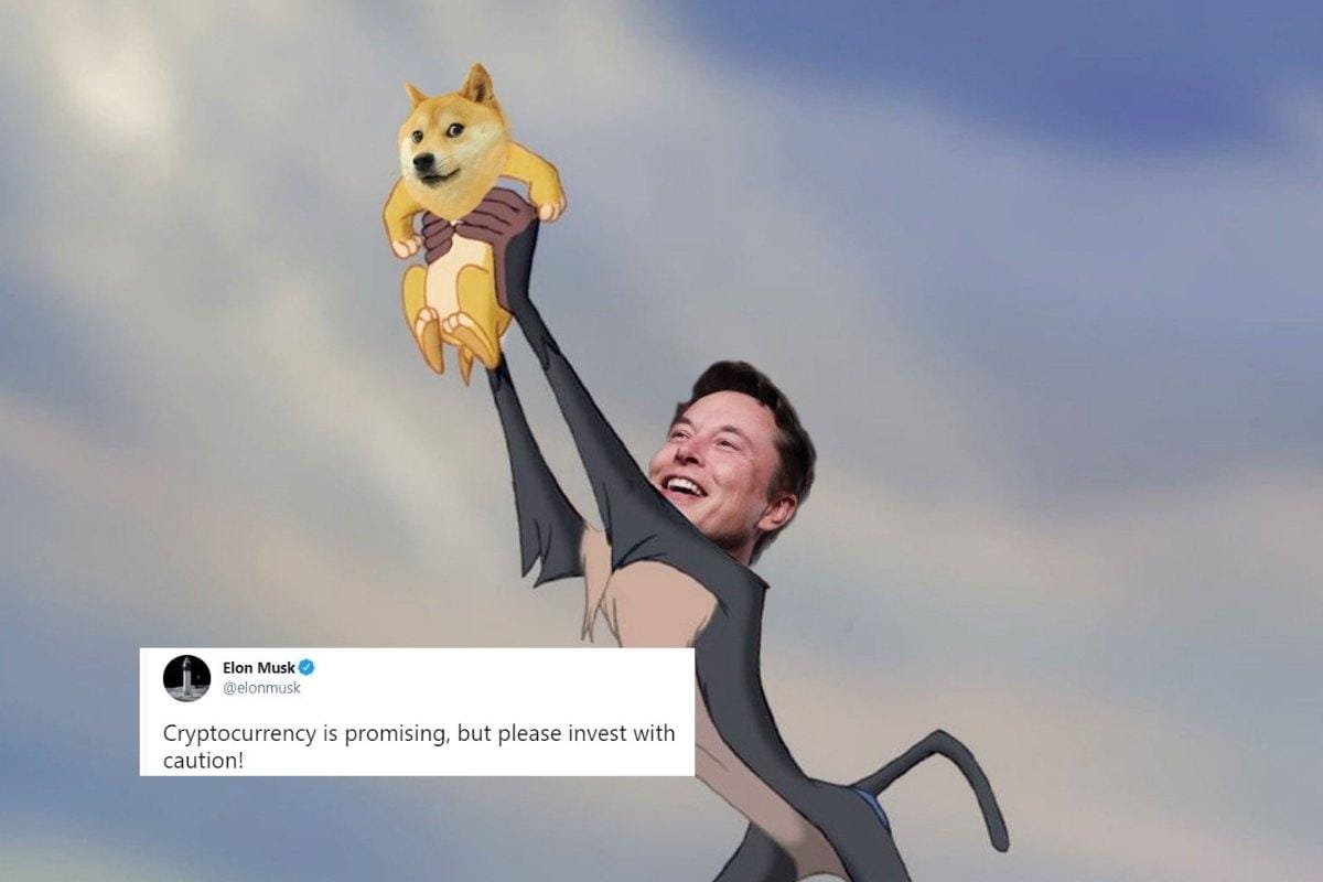 Dogecoin's Future: Is Elon Musk Really Leaving? Dogecoin's Future: Is Elon Musk Really Leaving?