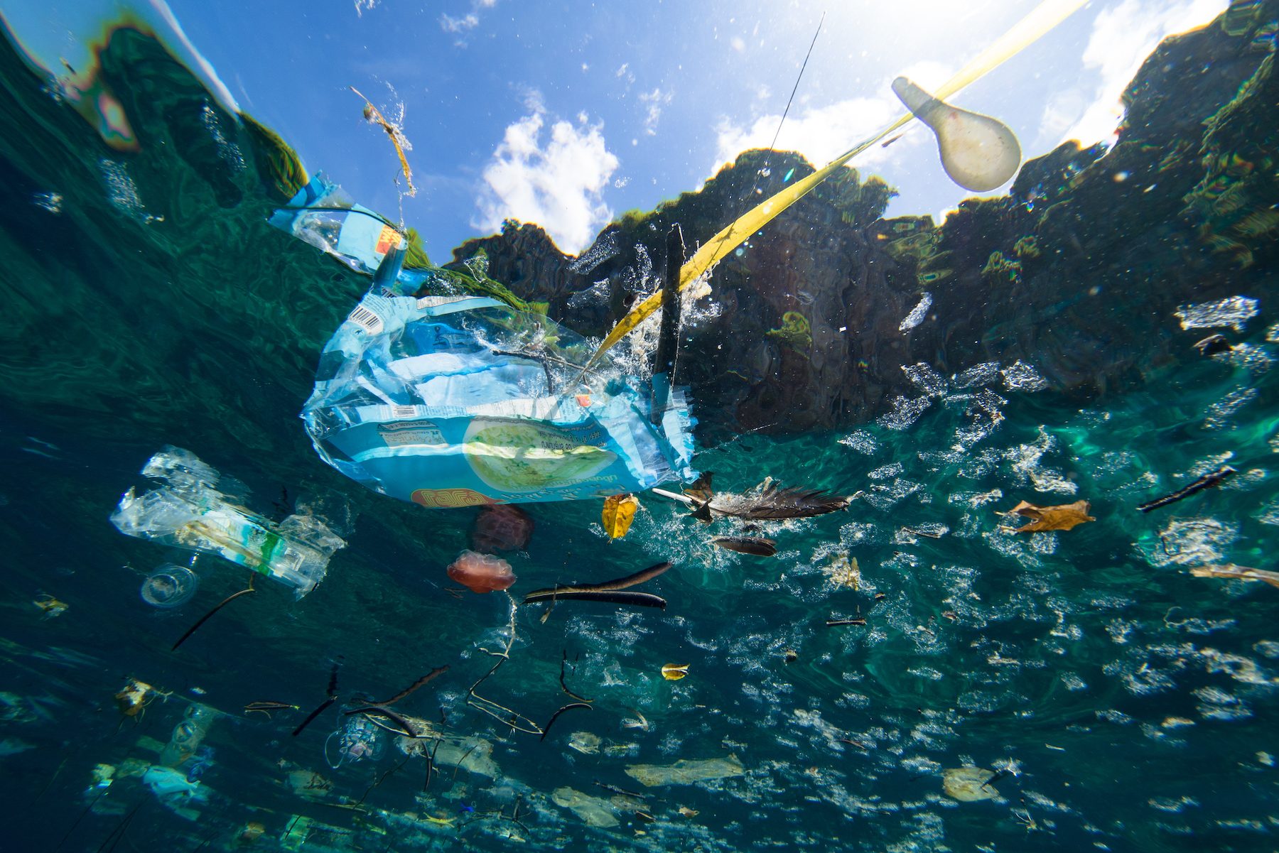 Dove Si Trovano Le Maggiori Concentrazioni Di Microplastiche? Dove Si Trovano Le Maggiori Concentrazioni Di Microplastiche?