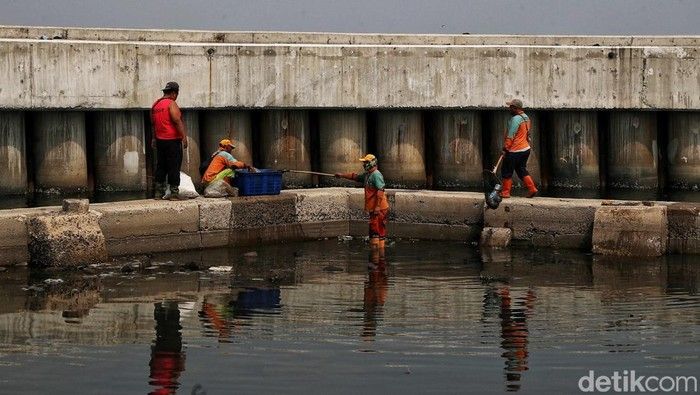 DPR Dukung Pembangunan Giant Sea Wall: Solusi Lindungi Warga Pesisir Dari Ancaman Laut? DPR Dukung Pembangunan Giant Sea Wall: Solusi Lindungi Warga Pesisir Dari Ancaman Laut?