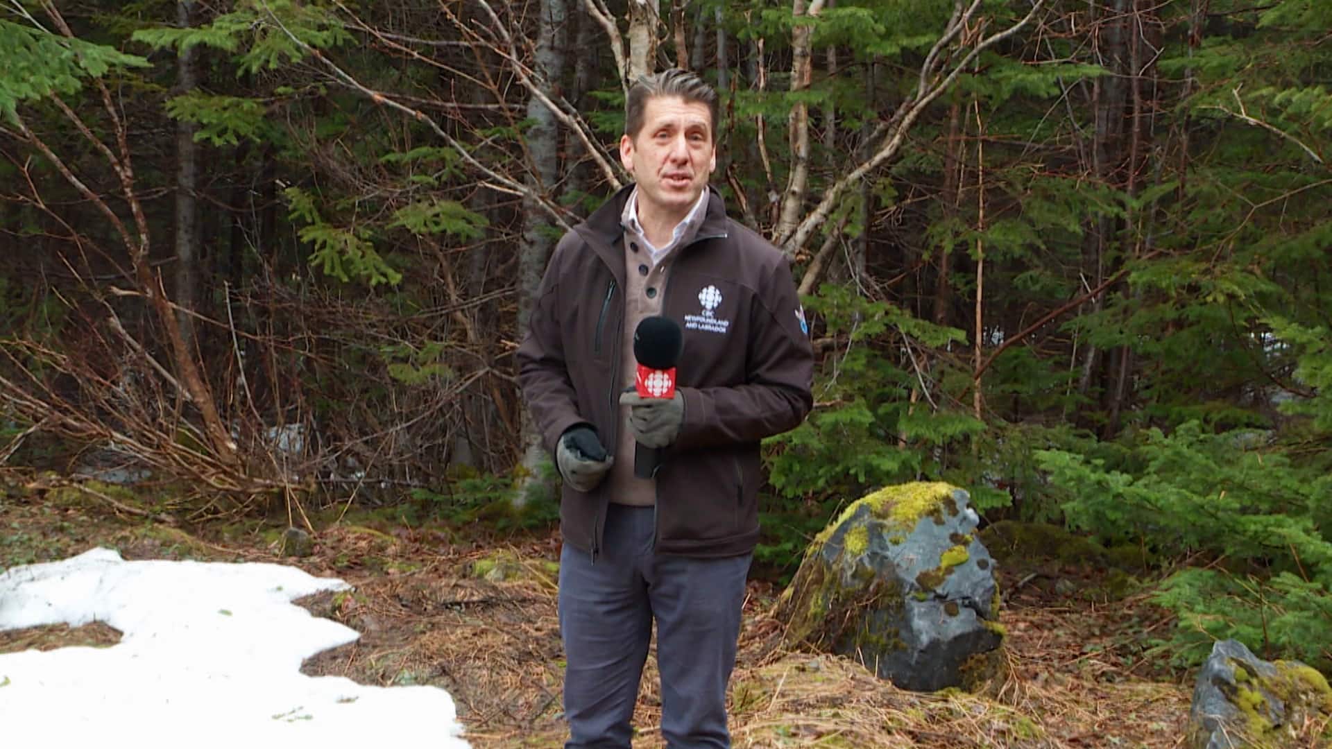 Eastern Newfoundland Wildfires: Devastation And Displacement Eastern Newfoundland Wildfires: Devastation And Displacement