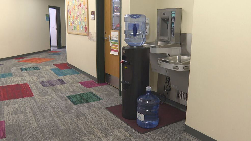 Elevated PFAS Levels Found In Blue Mountains Water Source: Public Health Implications Elevated PFAS Levels Found In Blue Mountains Water Source: Public Health Implications