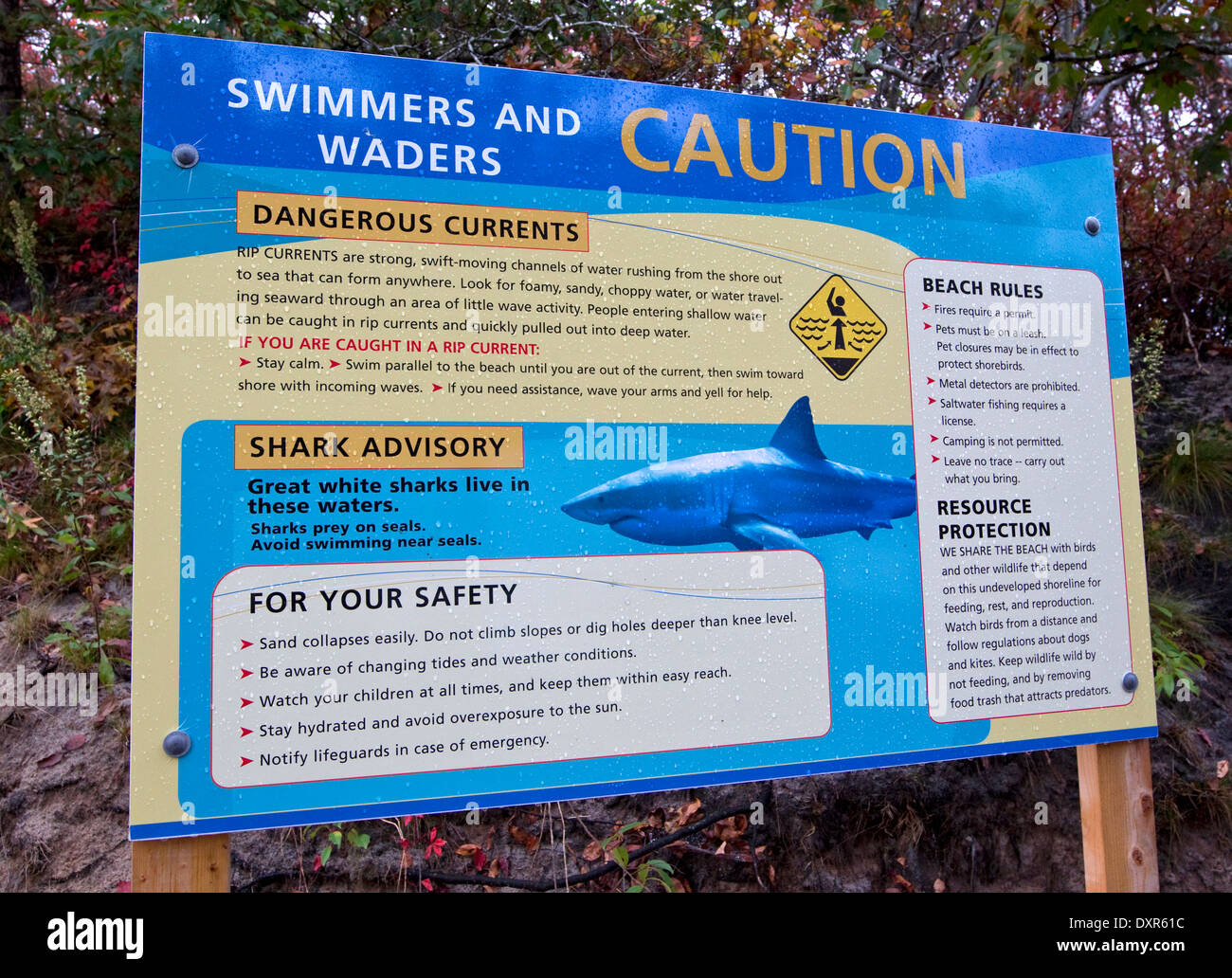 Emergency Red Tide Situation: Cape Cod Under Advisory Emergency Red Tide Situation: Cape Cod Under Advisory