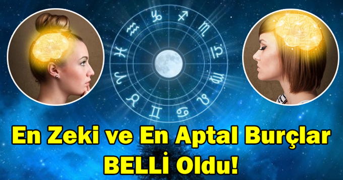 En Zeki Burçlar: Dahilik Genleri Ve Özellikleri En Zeki Burçlar: Dahilik Genleri Ve Özellikleri