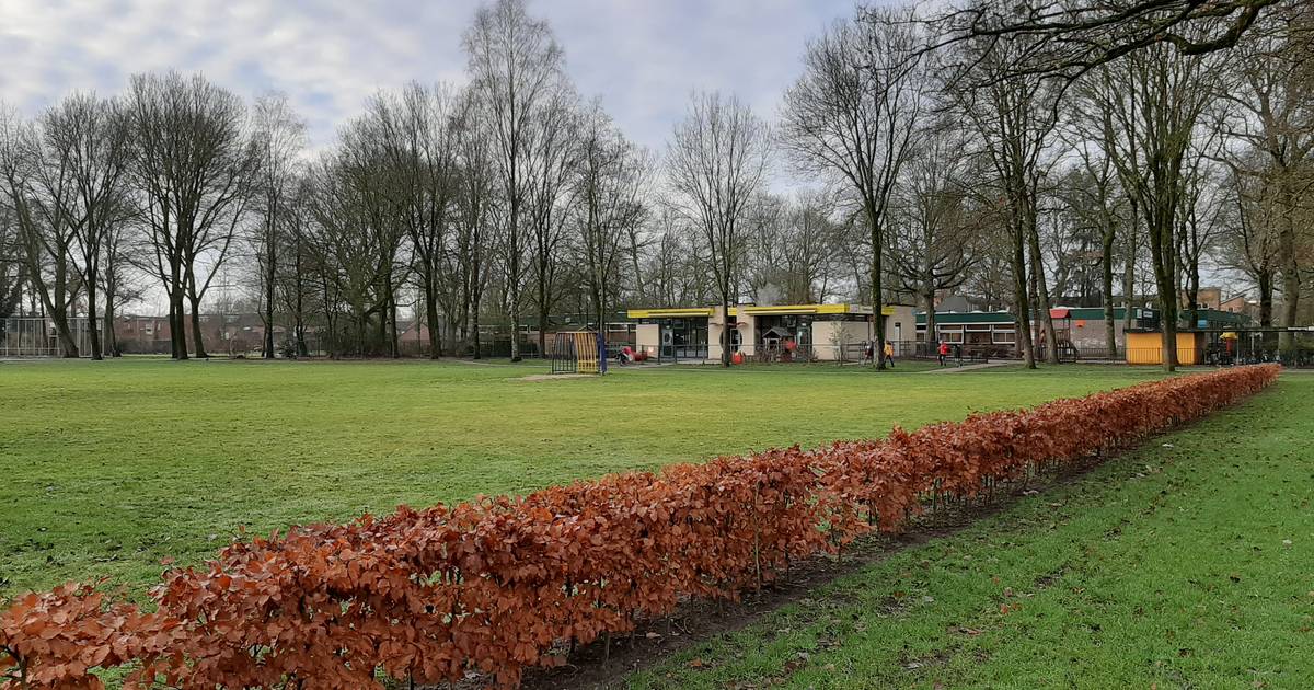 Energieautonomie Voor Bio-based Basisscholen: De Rol Van Generatoren Energieautonomie Voor Bio-based Basisscholen: De Rol Van Generatoren