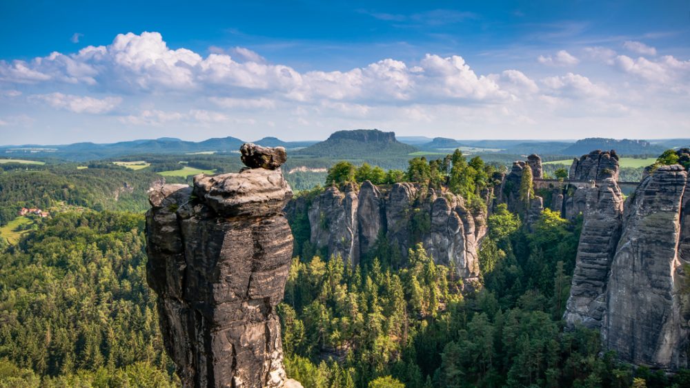 Erfolgreiche Baumpflanzaktion: 190.000 Bäume Im Nationalpark Sächsische Schweiz Erfolgreiche Baumpflanzaktion: 190.000 Bäume Im Nationalpark Sächsische Schweiz
