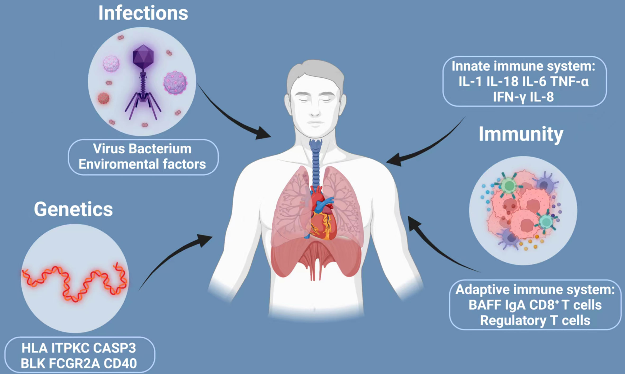 Evidence Points To A Single Respiratory Virus As The Etiology Of Kawasaki Disease Evidence Points To A Single Respiratory Virus As The Etiology Of Kawasaki Disease
