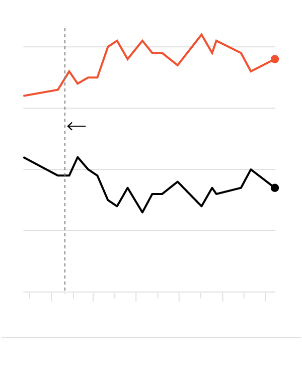 Examining The Validity Of Trump's Egg Price Prediction Examining The Validity Of Trump's Egg Price Prediction