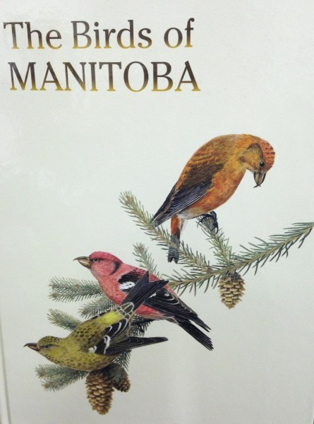 Expanding Manitoba's History: The Significance Of Hudson's Bay Artifacts Expanding Manitoba's History: The Significance Of Hudson's Bay Artifacts