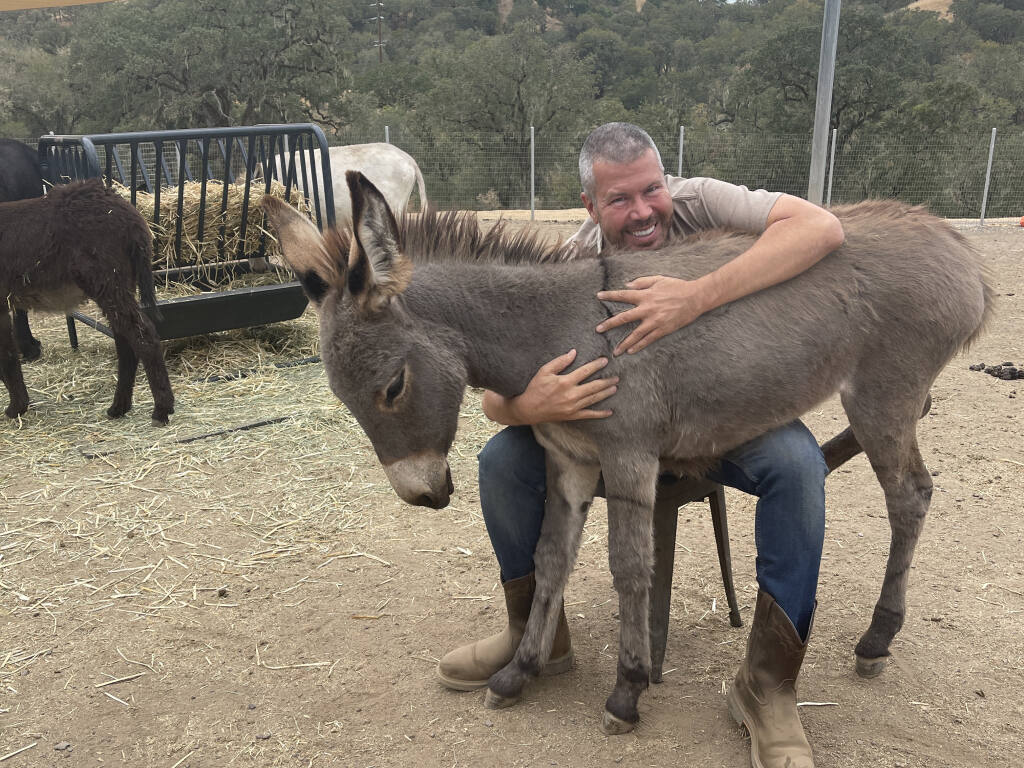 Experience The Southern California Donkey Roundup Experience The Southern California Donkey Roundup