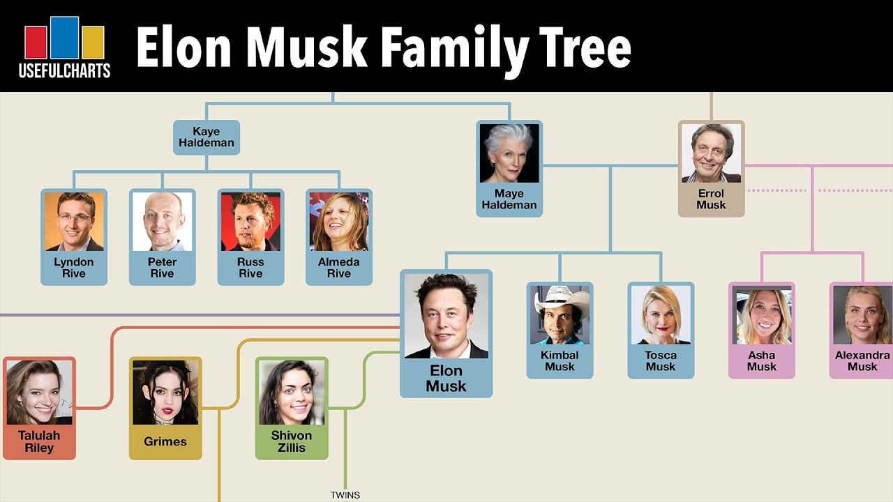 Exploring Elon Musk's Family Wealth: Maye Musk's Perspective On Building A Fortune Exploring Elon Musk's Family Wealth: Maye Musk's Perspective On Building A Fortune