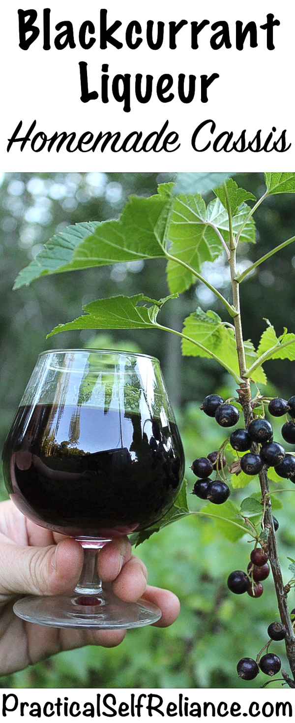 Exploring The Rich Flavors Of Cassis Blackcurrant Liqueur Exploring The Rich Flavors Of Cassis Blackcurrant Liqueur