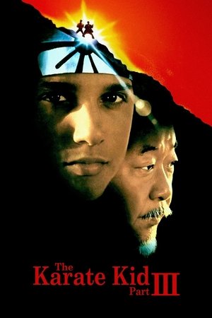 Exploring The Themes Of The Karate Kid Part III: Revenge, Redemption, And Mentorship Exploring The Themes Of The Karate Kid Part III: Revenge, Redemption, And Mentorship