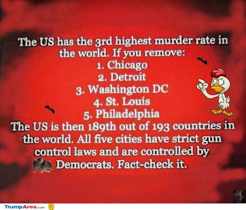 Fact Check: Southern Vacation Spot's Safety Rating After Shooting Fact Check: Southern Vacation Spot's Safety Rating After Shooting
