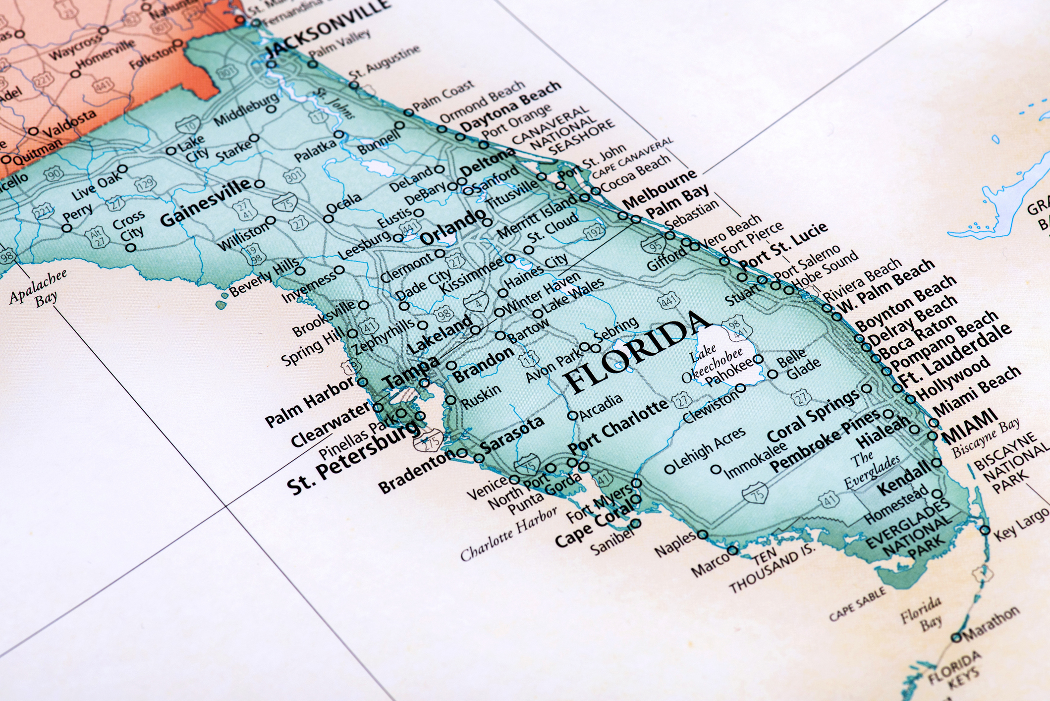 Filming Alligators In Florida Springs: A Guide For Filmmakers Filming Alligators In Florida Springs: A Guide For Filmmakers