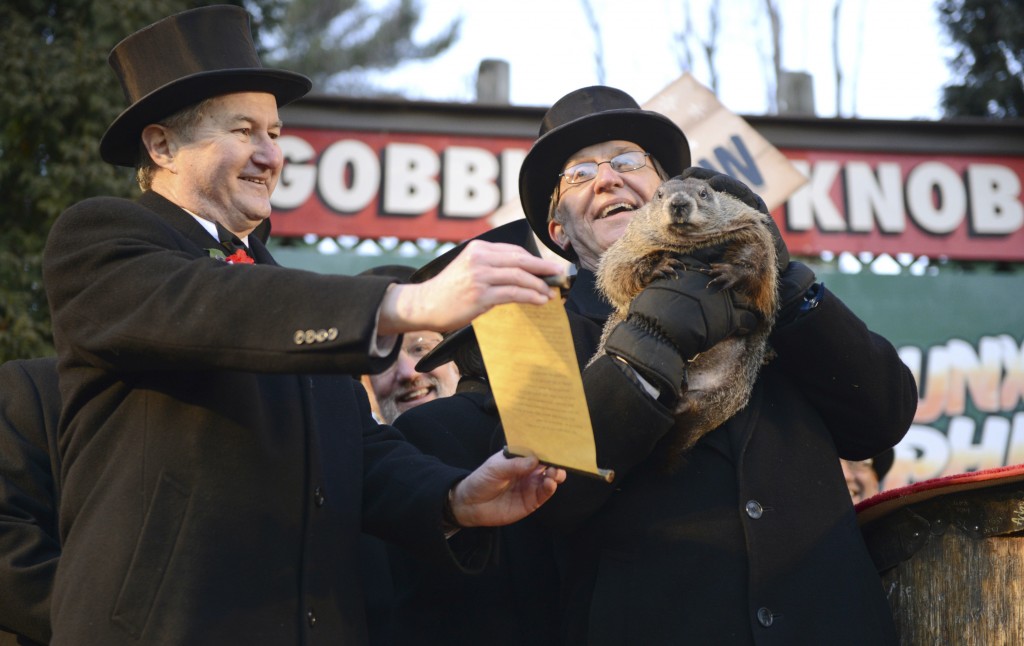 First Birthday Celebration For Punxsutawney Phil's Child First Birthday Celebration For Punxsutawney Phil's Child
