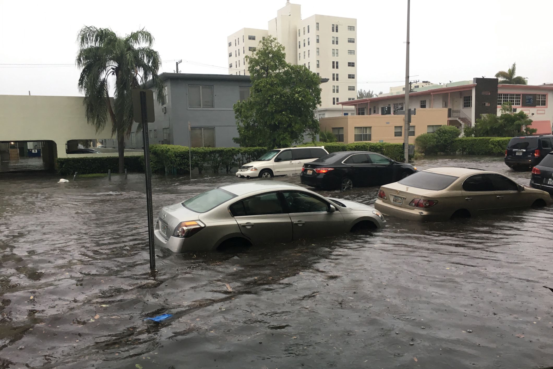 Flash Flood Warning: South Florida Residents Urged To Prepare For Heavy Rain Flash Flood Warning: South Florida Residents Urged To Prepare For Heavy Rain