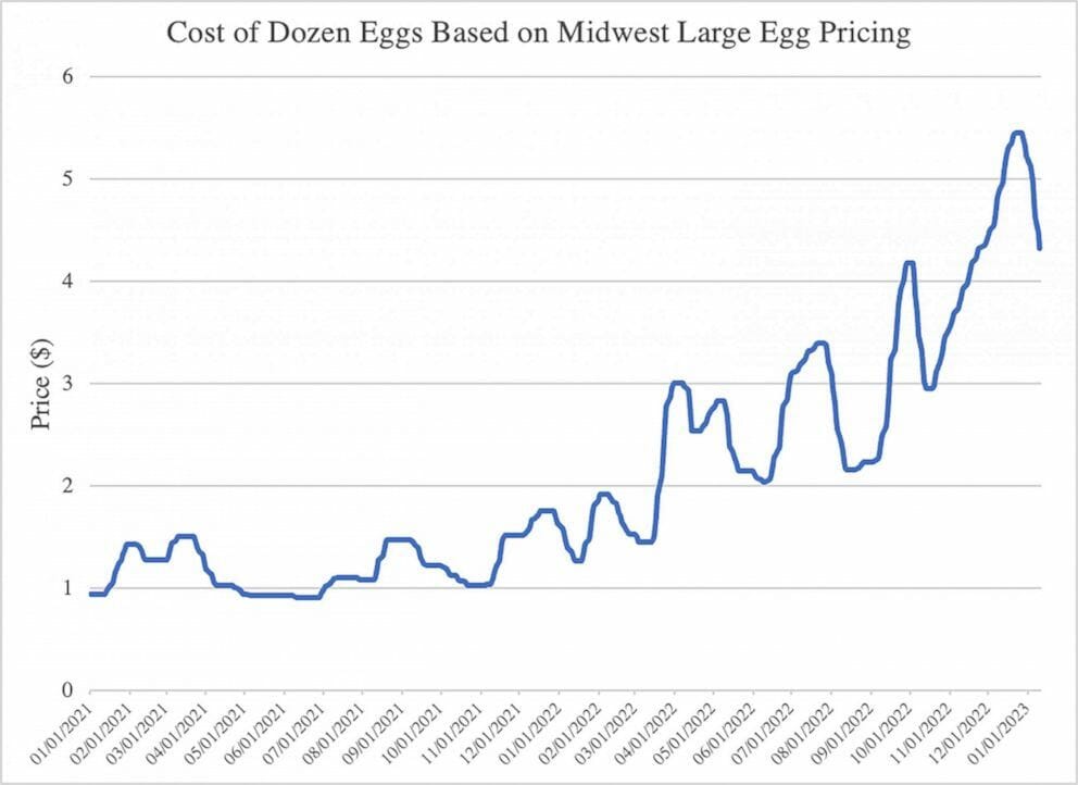 From Record Highs To $5 A Dozen: The Current State Of US Egg Prices From Record Highs To $5 A Dozen: The Current State Of US Egg Prices