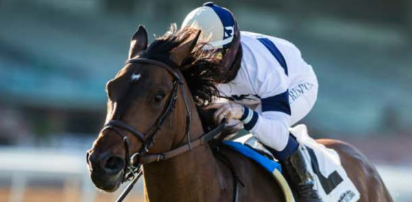 Gambling On Calamity: Analyzing The LA Wildfires Betting Market Gambling On Calamity: Analyzing The LA Wildfires Betting Market