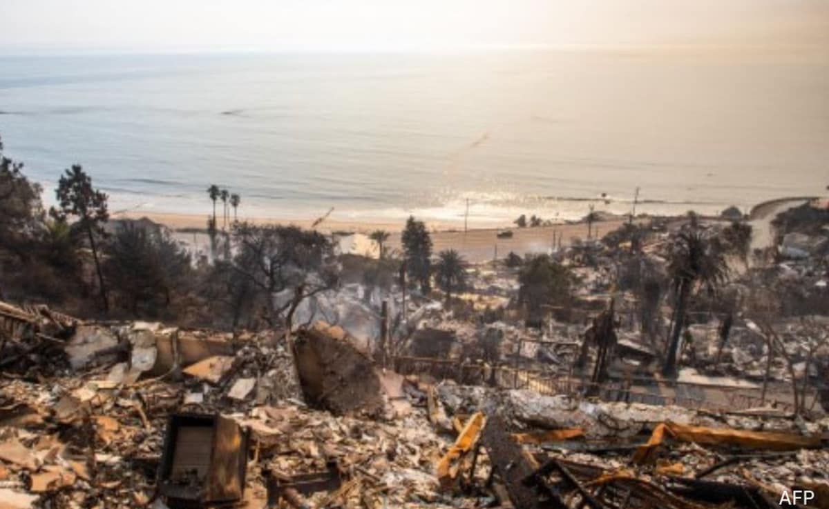 Gambling On Calamity: The Case Of The Los Angeles Wildfires Gambling On Calamity: The Case Of The Los Angeles Wildfires