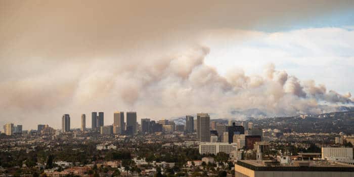 Gambling On Catastrophe: Examining The LA Wildfire Betting Market Gambling On Catastrophe: Examining The LA Wildfire Betting Market