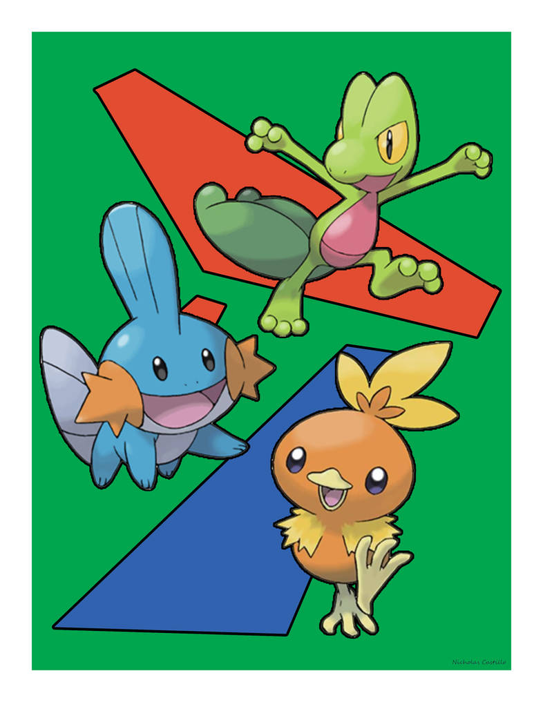 Gen 3 Starter Pokemon Recreated In LEGO Gen 3 Starter Pokemon Recreated In LEGO
