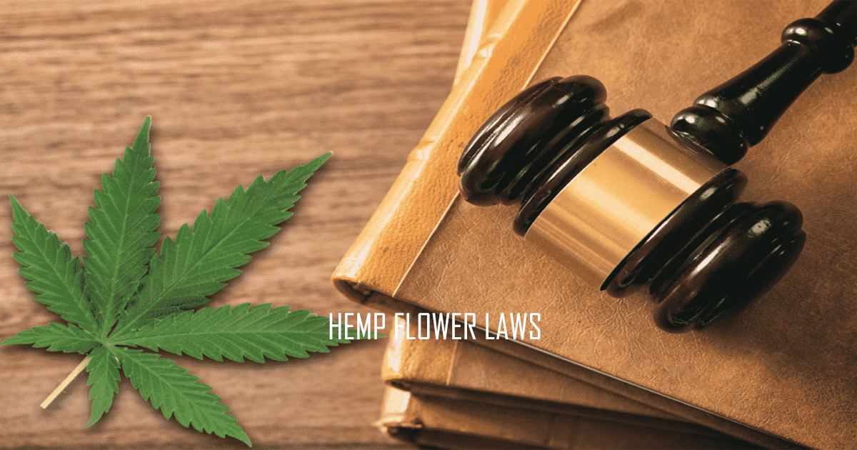 Georgia Hemp Laws: A Guide To Legal Hemp Products Georgia Hemp Laws: A Guide To Legal Hemp Products