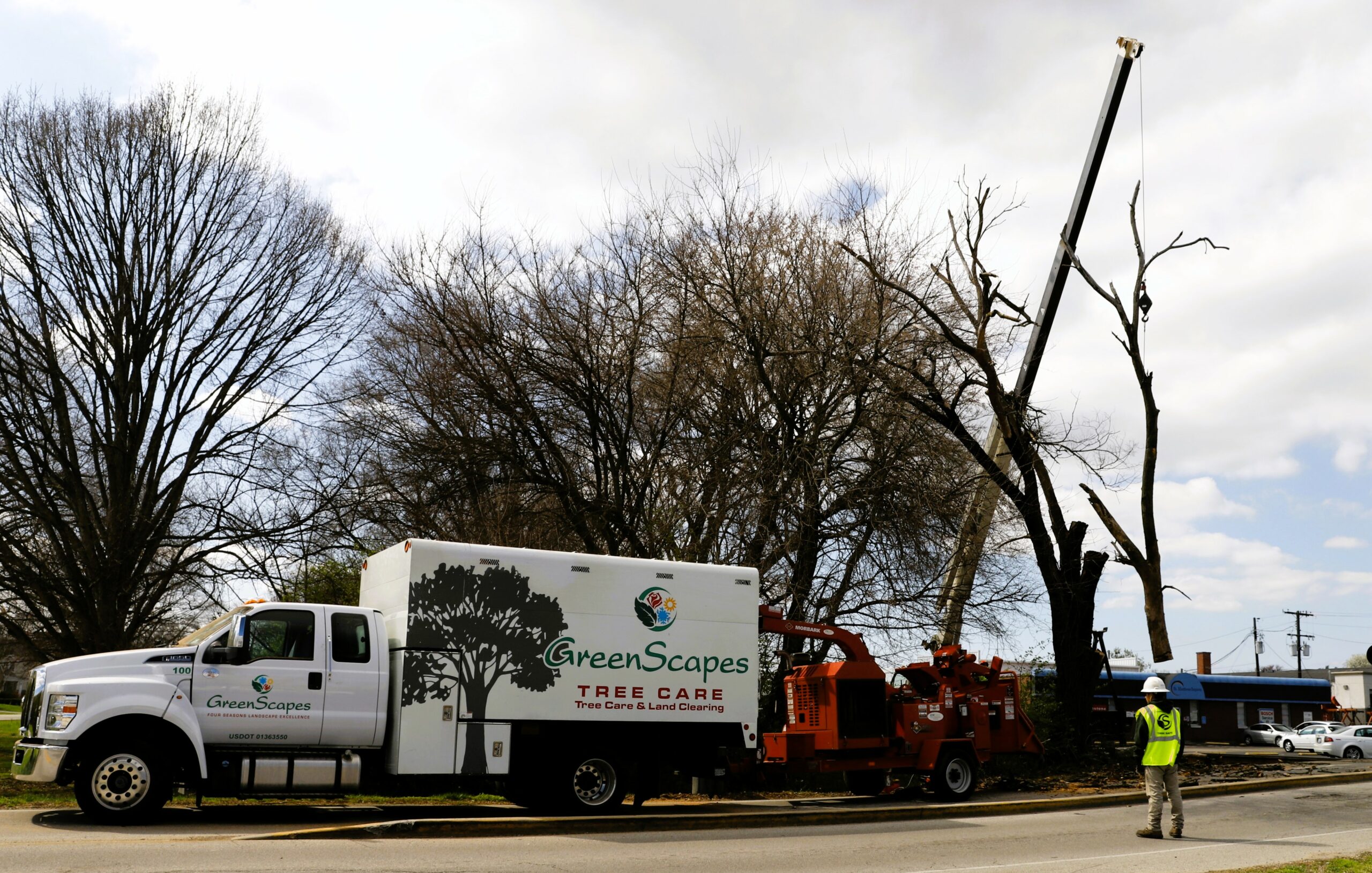 Get Your Storm Debris Removed: Louisville Opens Request System