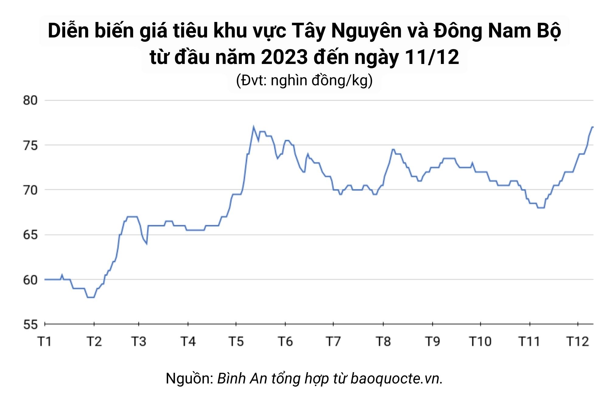 Giá Tiêu Hôm Nay: Phân Tích Thị Trường Và Triển Vọng Cho Nông Dân Giá Tiêu Hôm Nay: Phân Tích Thị Trường Và Triển Vọng Cho Nông Dân
