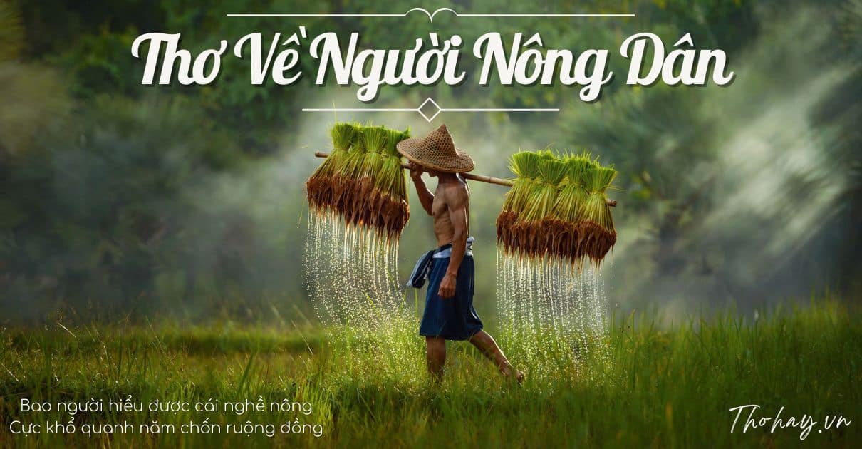 Giá Tiêu Tăng: Tin Vui Cho Nông Dân Việt Nam Giá Tiêu Tăng: Tin Vui Cho Nông Dân Việt Nam
