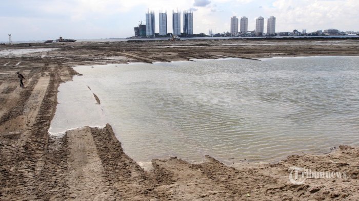 Giant Sea Wall: Peran Swasta Dalam Pembangunan Infrastruktur Pesisir Giant Sea Wall: Peran Swasta Dalam Pembangunan Infrastruktur Pesisir