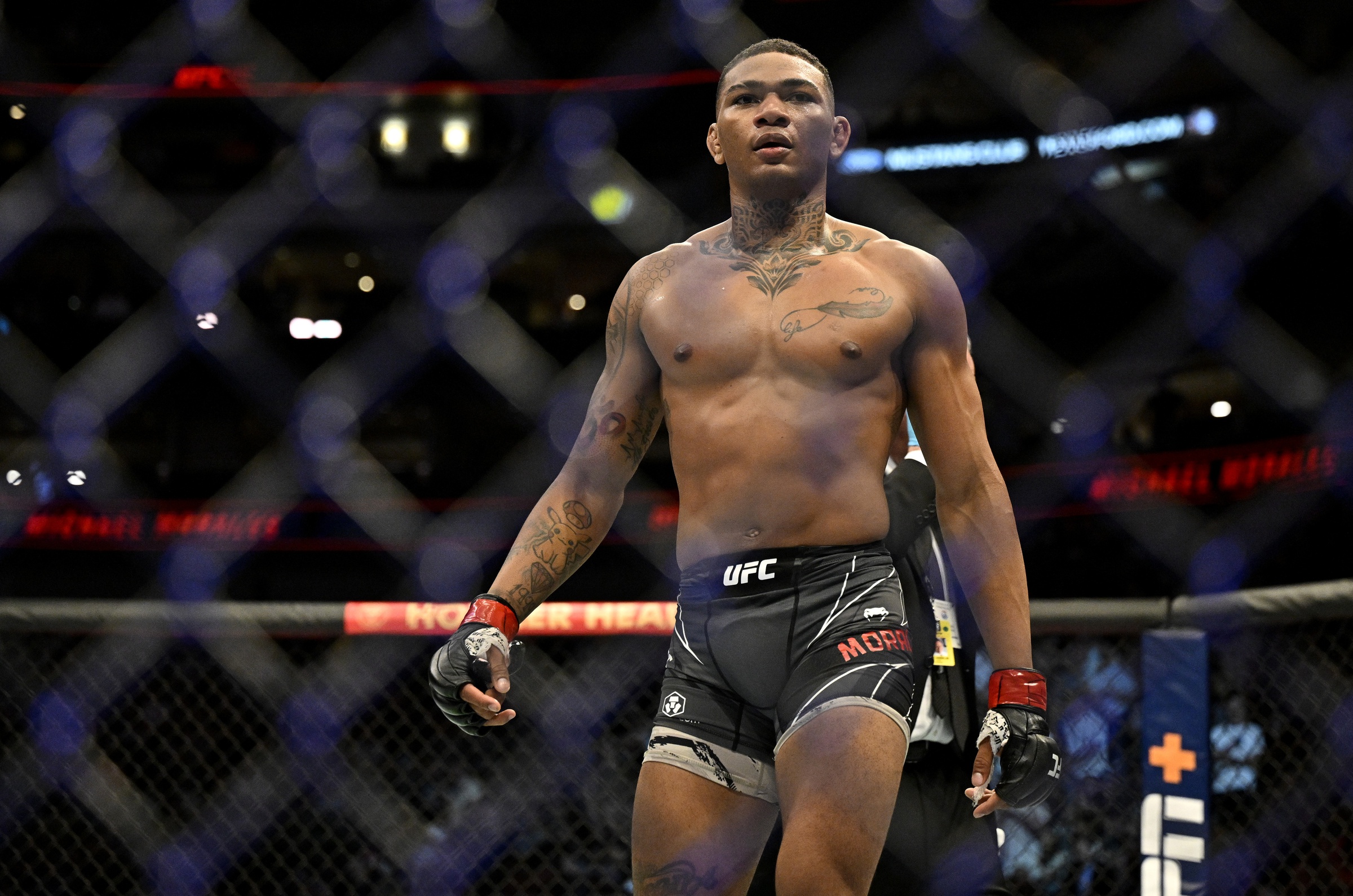 Gilbert Burns KO'd: Michael Morales' Rise After UFC Vegas 106 Triumph Gilbert Burns KO'd: Michael Morales' Rise After UFC Vegas 106 Triumph