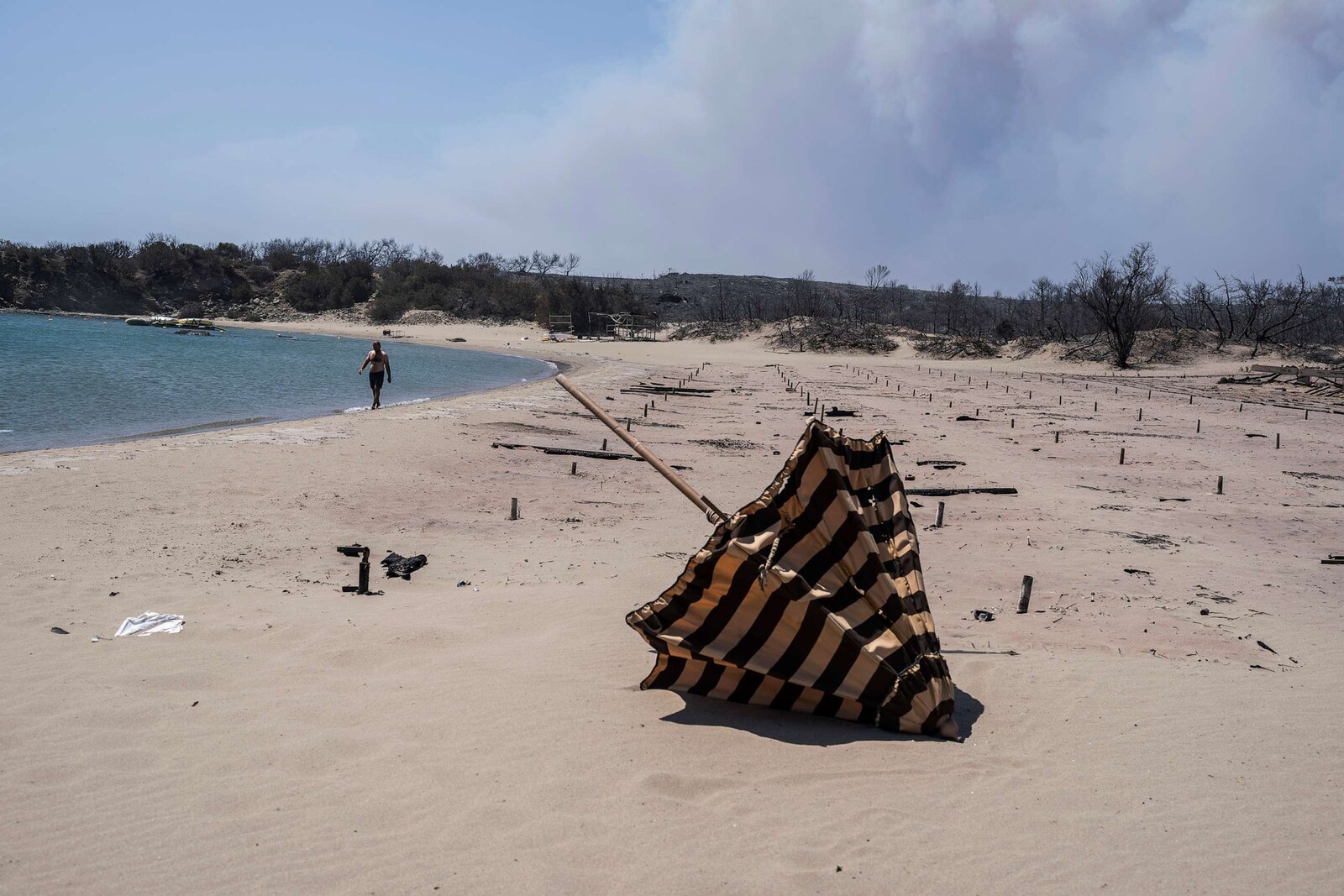 Global Forest Destruction: A Record Year Fueled By Wildfires Global Forest Destruction: A Record Year Fueled By Wildfires