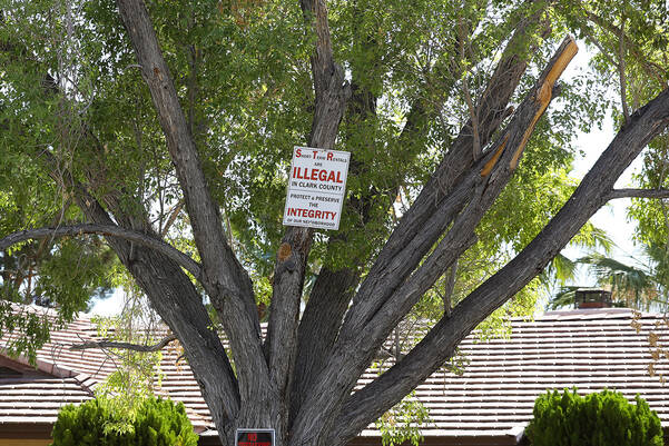 Government Reconsiders Ban On Short-Term Rental Agreements