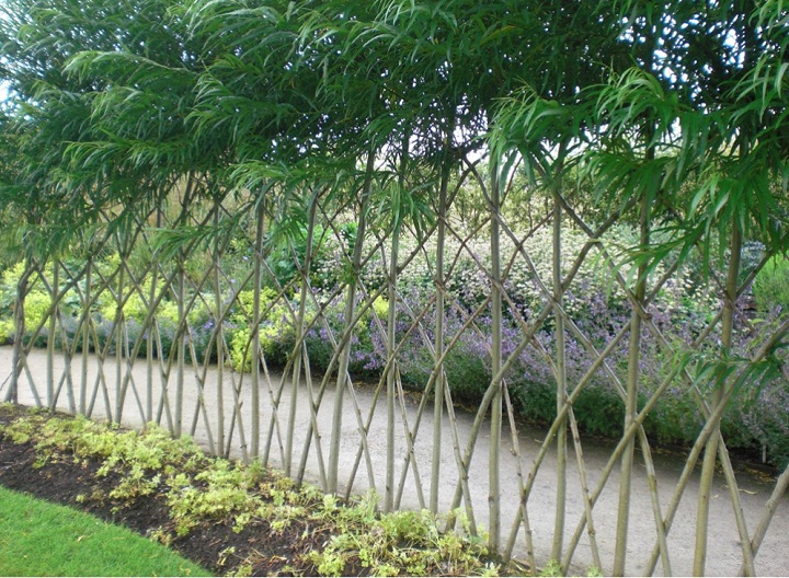 Guide To Building A Durable And Attractive Living Fence