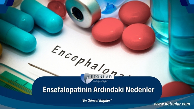 Hacıosmanoğlu'nun Macaristan Ziyaretinin Ardındaki Nedenler Hacıosmanoğlu'nun Macaristan Ziyaretinin Ardındaki Nedenler