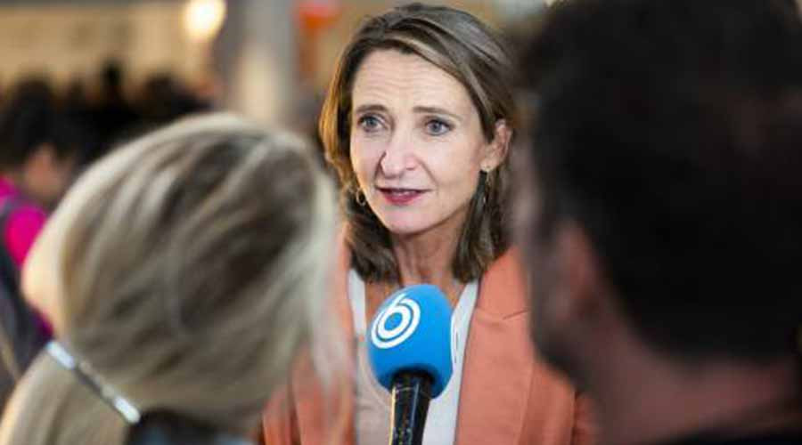 Hamer: Bruins Moet Met NPO-toezichthouder Praten Over Leeflang Hamer: Bruins Moet Met NPO-toezichthouder Praten Over Leeflang
