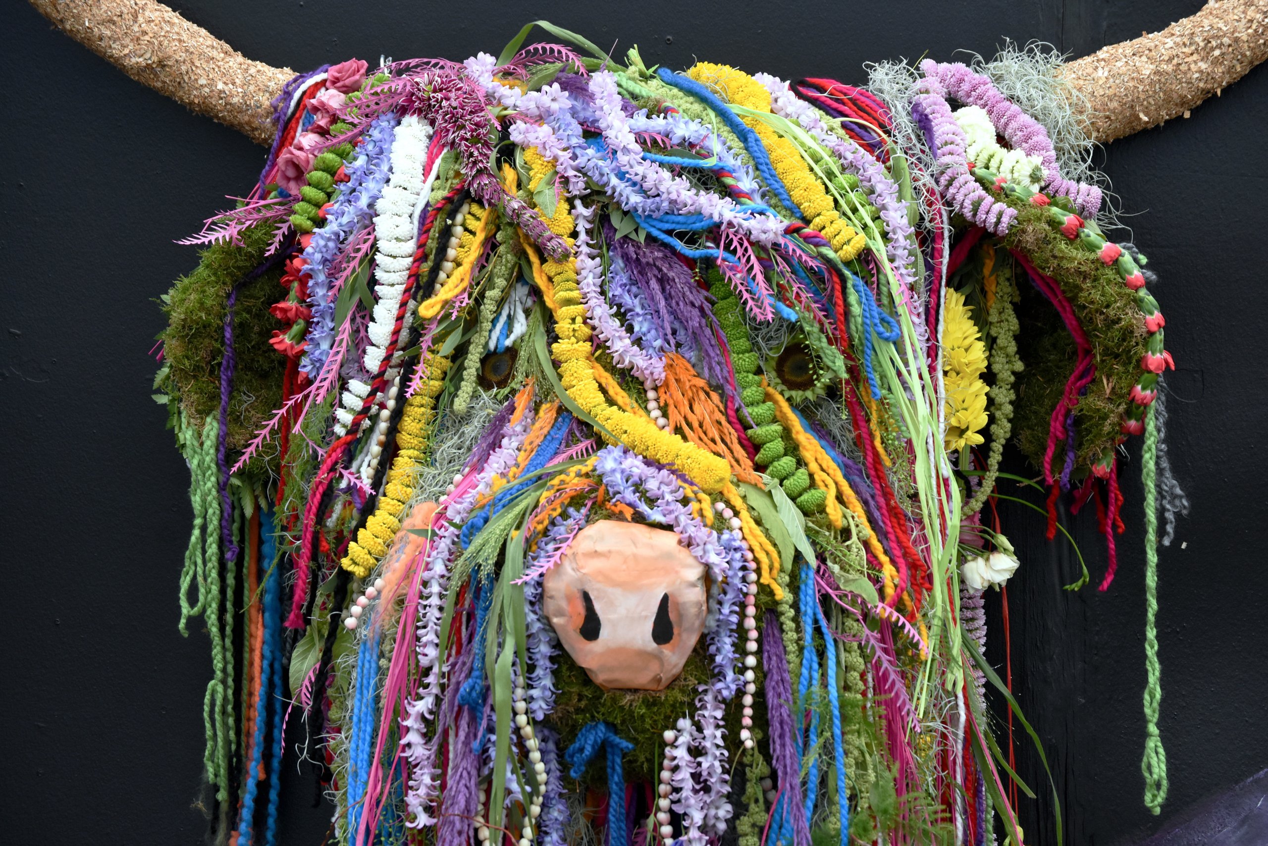 Harrogate Spring Flower Show: A Guide For 2025 (April 24-27)