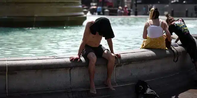 Heatwave Deaths In England: 311 Fatalities Highlight Urgent Need For Action Heatwave Deaths In England: 311 Fatalities Highlight Urgent Need For Action