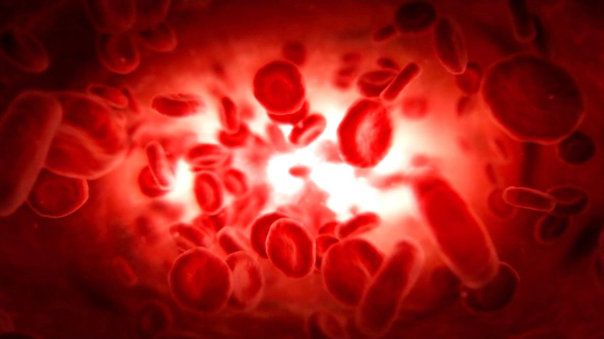 Household Plastic Chemicals: A Growing Concern For Cardiovascular Health Household Plastic Chemicals: A Growing Concern For Cardiovascular Health