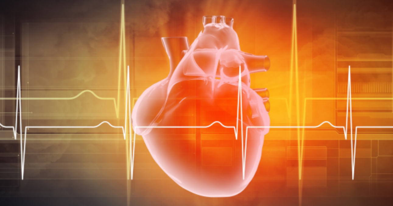 Household Plastics And Heart Disease: A New Study's Findings Household Plastics And Heart Disease: A New Study's Findings