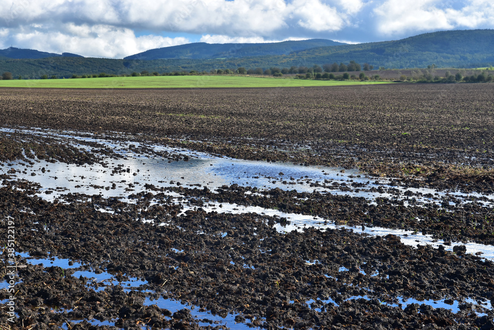 How Flooding Impacts Livestock And Farm Operations How Flooding Impacts Livestock And Farm Operations