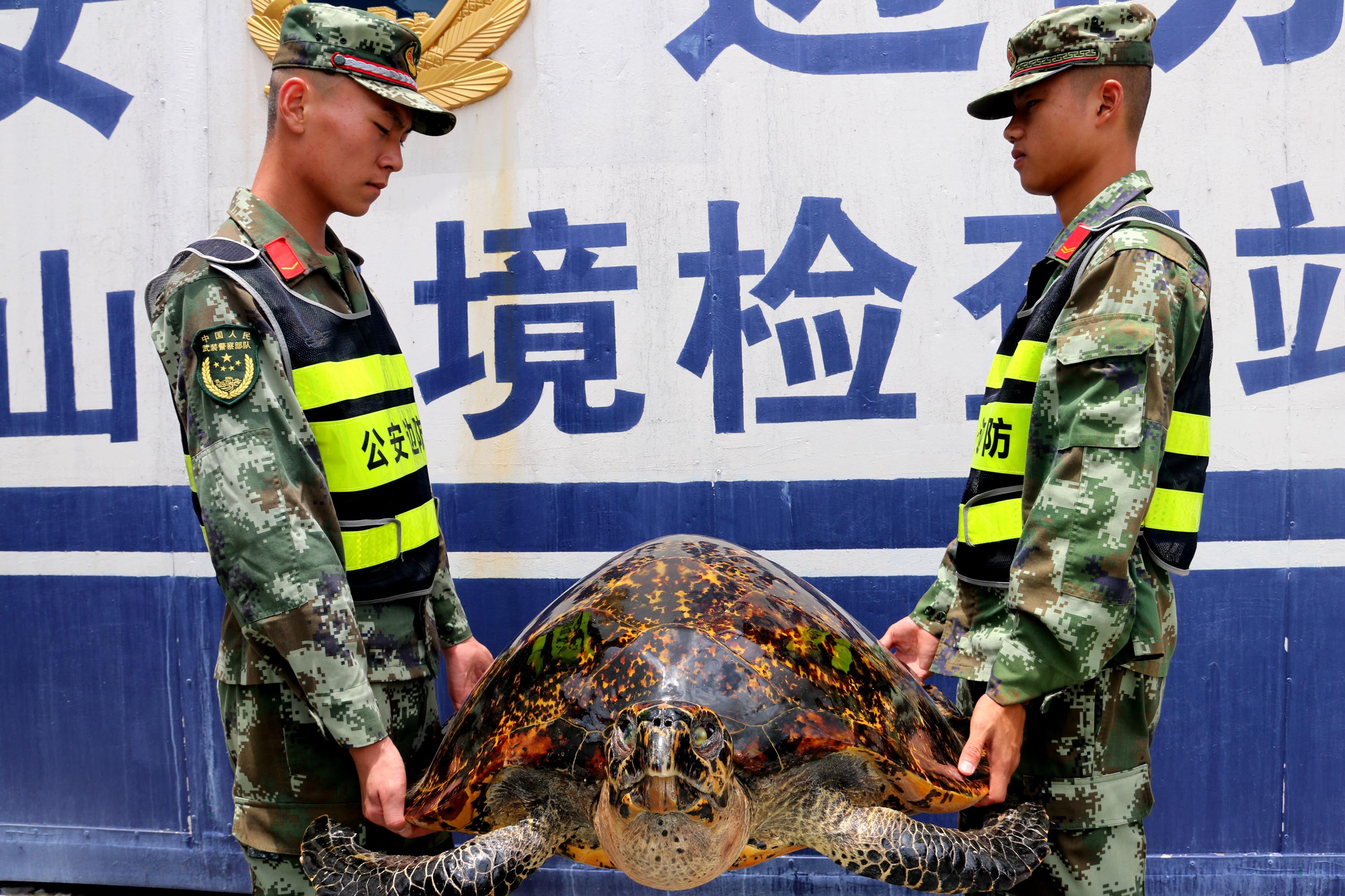 How The Fentanyl Crisis Influenced US-China Trade Discussions How The Fentanyl Crisis Influenced US-China Trade Discussions